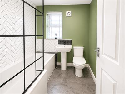 Picture 7